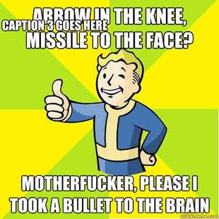 Fallout new vegas