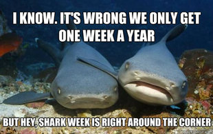 Compassionate Shark Friend