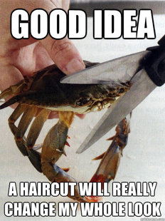 Optimistic Crab