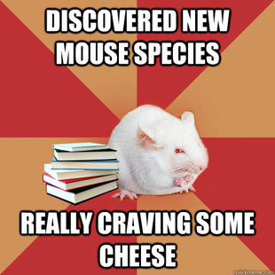 Science Major Mouse