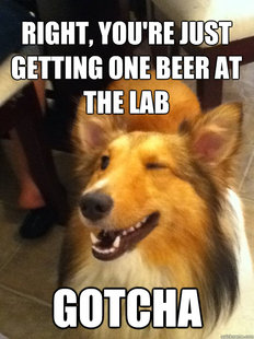 implying dog