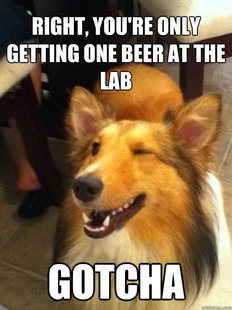 implying dog