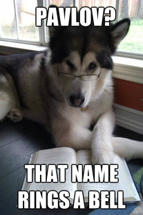 Condescending Literary Pun Dog
