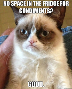 Grumpy Cat