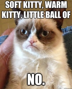 Grumpy Cat