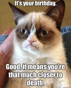 Grumpy Cat