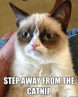Grumpy Cat