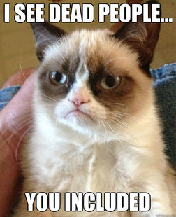Grumpy Cat