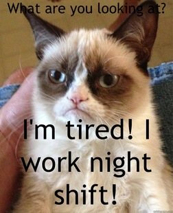 Grumpy Cat
