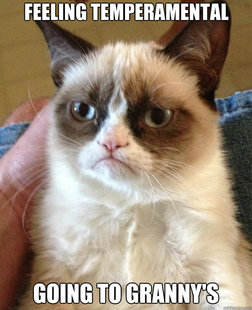 Grumpy Cat