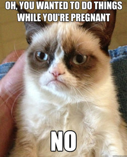 Grumpy Cat