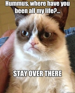 Grumpy Cat