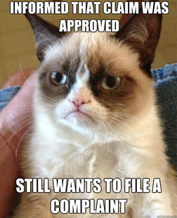 Grumpy Cat