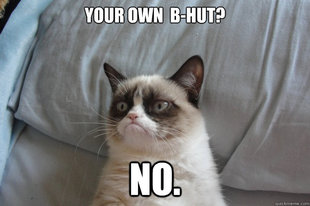 Grumpy Cat