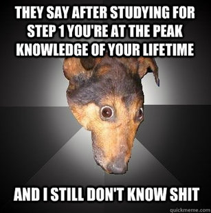 Depression Dog