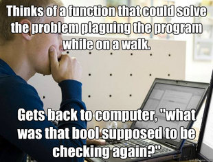 Programmer