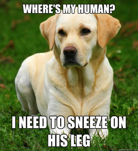 Dog Logic