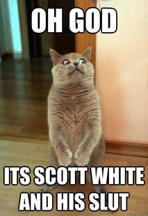 Horrorcat