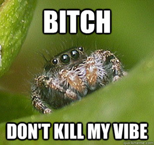 Misunderstood Spider