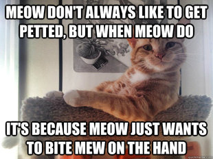 The Meowst Interesting Cat in the World