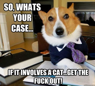 Lawyer Dog