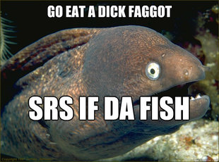 Bad Joke Eel