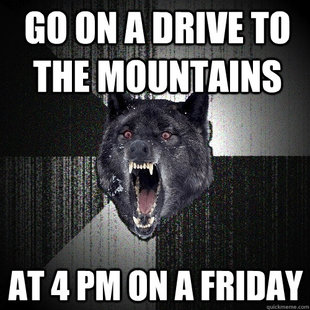 Insanity Wolf