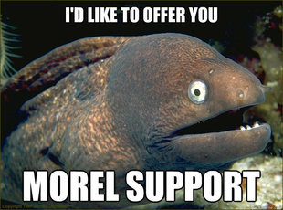 Bad Joke Eel