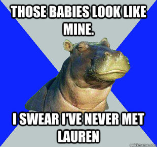 Skeptical Hippo