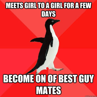 Socially Awesome Penguin