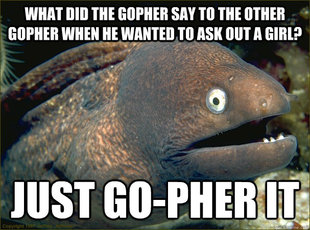 Bad Joke Eel