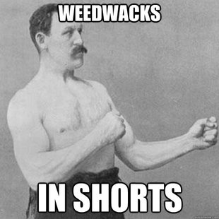 overly manly man