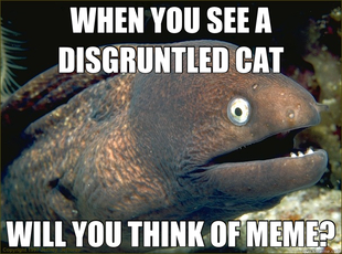 Bad Joke Eel