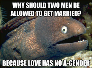 Bad Joke Eel