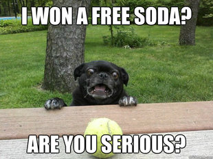 Berks Dog