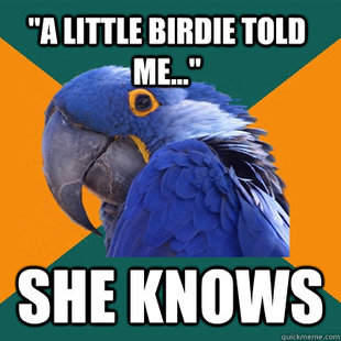Paranoid Parrot