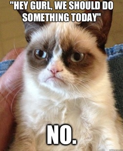 Grumpy Cat