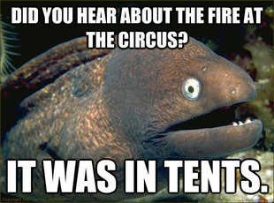 Bad Joke Eel