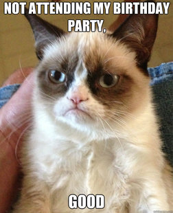 Grumpy Cat
