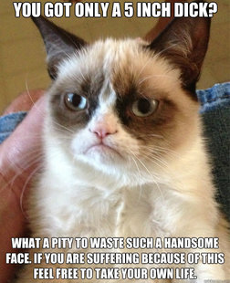 Grumpy Cat