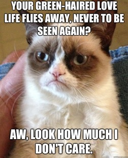 Grumpy Cat