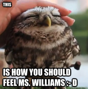 cute owl