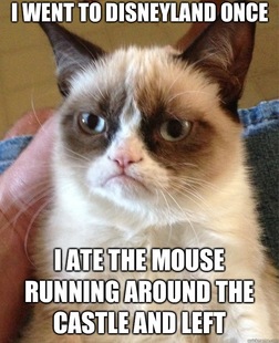 Grumpy Cat