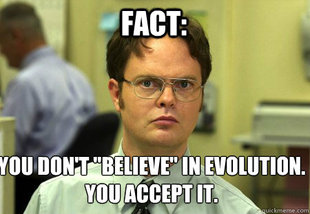 Schrute