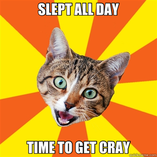 Bad Advice Cat