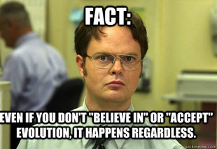 Schrute