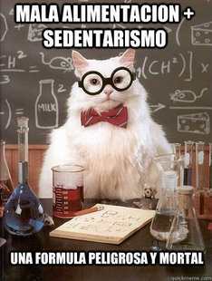 Chemistry Cat