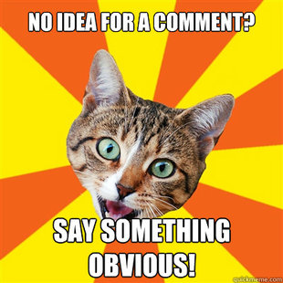 Bad Advice Cat