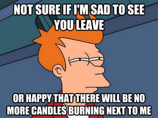 Futurama Fry