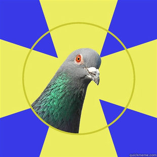 Religion Pigeon